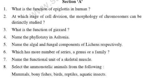 CBSE Class 11 Biology Sample Paper Set 19