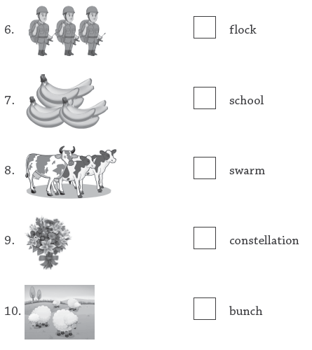 cbse class 3 english collective nouns worksheet practice worksheet for english