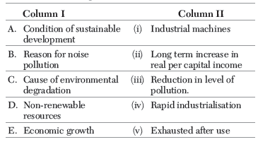 CBSE Class 11 Economics Sustainable Development Worksheet
