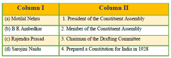 CBSE Class 9 Social Science Constitutional Design Notes
