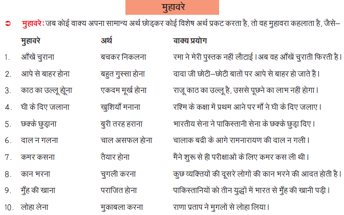 CBSE Class 6 Hindi Practice Worksheet Set 10_1