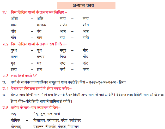 CBSE Class 8 Hindi Practice Worksheet Set A_4
