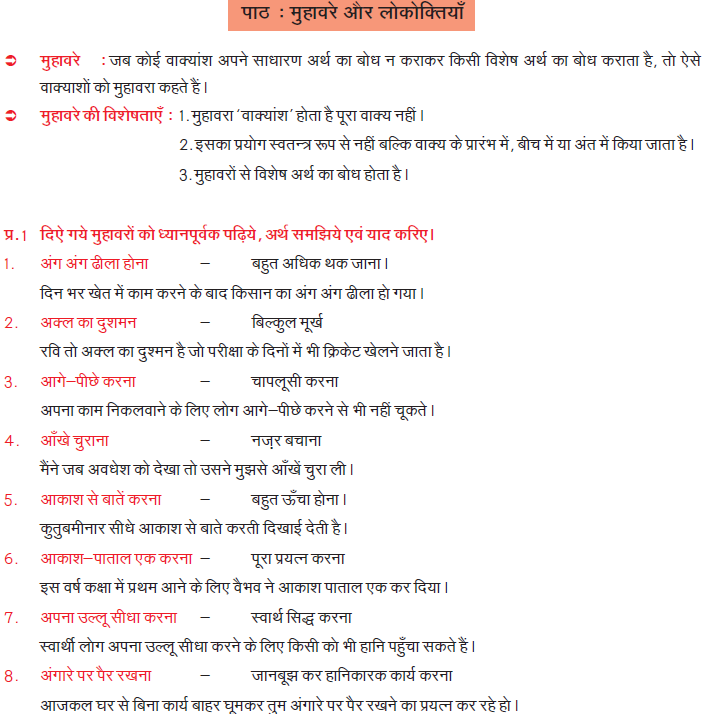 CBSE Class 8 Hindi Practice Worksheet Set D_1