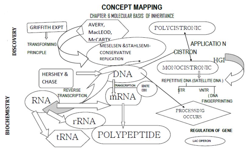 ""CBSE-Class-12-Biology-Concept-Maps-For-All-Chapters-3