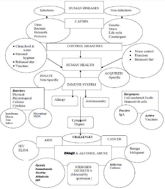 ""CBSE-Class-12-Biology-Concept-Maps-For-All-Chapters-6