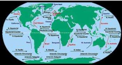""Class 11 Geography Movements Of Ocean Water_3