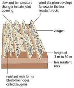 ""Class-11-Geography-Landforms-And-Their-Evolution-23