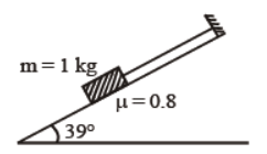 cbse-class-11-physics-laws-of-motion-worksheet-set-d