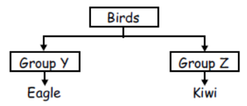 cbse-class-3-science-birds-mcqs
