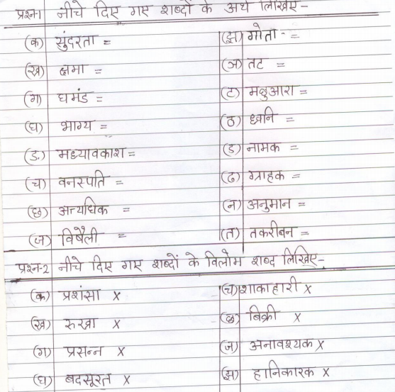 Cbse Class 4 Hindi Sample Paper Set W