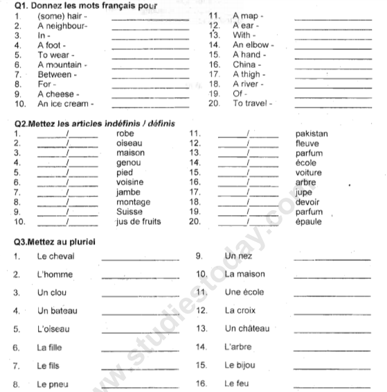 french exercises pdf
