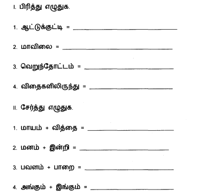 cbse class 5 tamil question paper set b