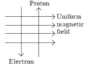 CBSE-Class-10-Science-Magnetic-effects-of-electric-current-Sure-Shot-Questions-A-11.png