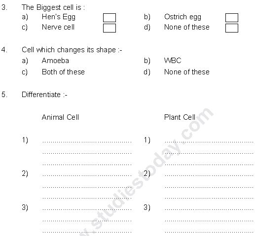 ""CBSE-Class-8-Science-Cell-Structure-And-Functions-Worksheet-Set-B-1