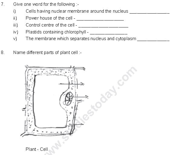 ""CBSE-Class-8-Science-Cell-Structure-And-Functions-Worksheet-Set-B-3