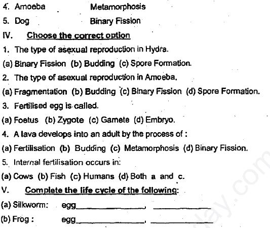 ""CBSE-Class-8-Science-Reproduction-in-Animals-Assignment-Set-D