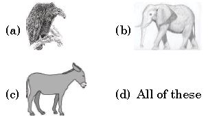 ""ISO-Mock-test-Class-3-Science-Set-C