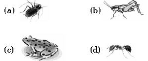 ""ISO-Mock-test-Class-3-Science-Set-D-8