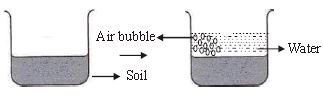 ""ISO-Mock-test-Class-3-Science-Set-E-5