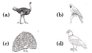 ""ISO-Mock-test-Class-3-Science-Set-E-6