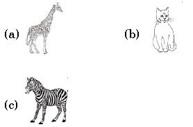 ""ISO-Mock-test-Class-3-Science-A-4