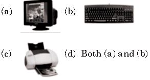 ""NCO-Mock-test-Class-3-Cyber-Set-A-7