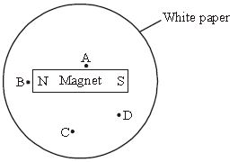 ""CBSE-Class-6-Science-Magnetism-Worksheet-Set-D-7