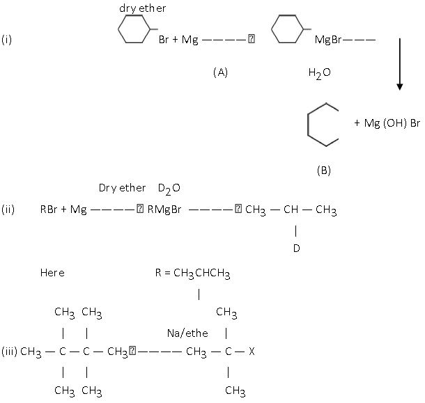 ""CBSE-Class-12-Chemistry-Halo-Alkanes-And-Haloarene-Worksheet-Set-B-3