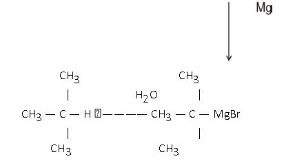 ""CBSE-Class-12-Chemistry-Halo-Alkanes-And-Haloarene-Worksheet-Set-B-4
