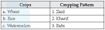 CBSE Class 10 Geography Agriculture_4