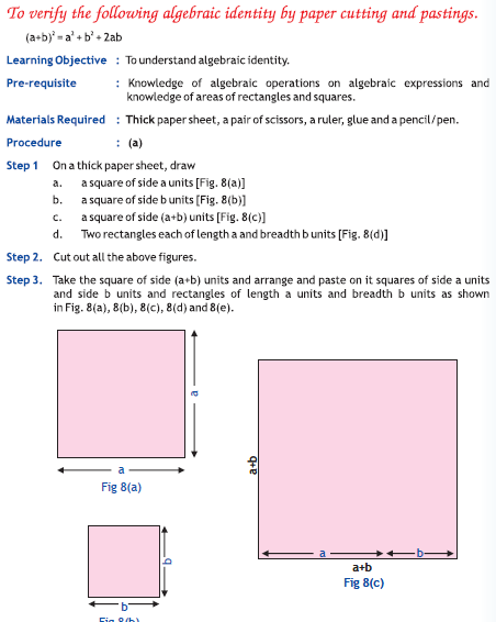 CBSE Class 8 Maths Activity 8