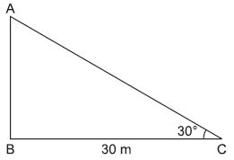 ""CBSE-Class-10-Application-of-Trigonometry-Worksheet-Set-B-2