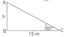 ""CBSE-Class-10-Application-of-Trigonometry-Worksheet-Set-B-3