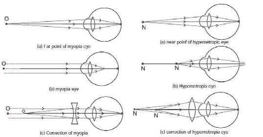 ""CBSE-Class-10-Physics-Reflection-and-Refraction-of-Light-Worksheet-Set-C-3