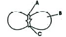 ""CBSE-Class-10-Science-How-Do-Organisms-Reproduce-Notes-Set-A-1