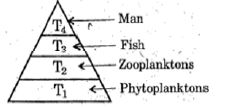 ""CBSE-Class-10-Science-Our-Environment-Sure-Shot-Questions-A-2