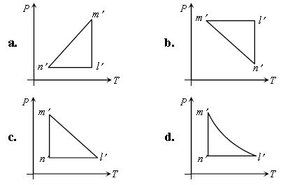 ""CBSE-Class-11-Thermodynamics-Worksheet-A-4