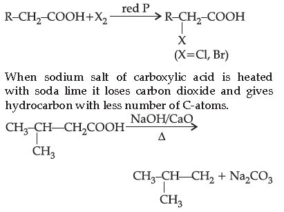 ""CBSE-Class-12-Chemistry-Aldehydes-Ketones-And-Carboxylic-Acids-Question-Bank-Set-B-6