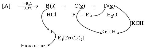 ""CBSE-Class-12-Chemistry-Coordination-Compounds-Worksheet-Set-C