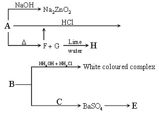 ""CBSE-Class-12-Chemistry-Polymers-Worksheet-Set-A-1