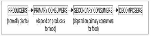 ""CBSE-Class-5-EVS-A-Seed-Tells-A-Farmers-Story-Worksheet-Set-B-1