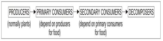 ""CBSE-Class-5-EVS-A-Seed-Tells-A-Farmers-Story-Worksheet-Set-B-2