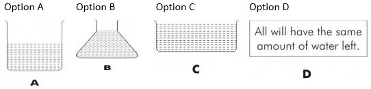 ""CBSE-Class-5-EVS-Experiments-With-Water-Worksheet-Set-A-1