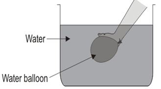 ""CBSE-Class-5-EVS-Experiments-With-Water-Worksheet-Set-A-2