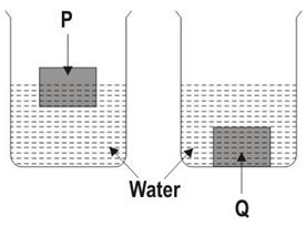 ""CBSE-Class-5-EVS-Experiments-With-Water-Worksheet-Set-A-3