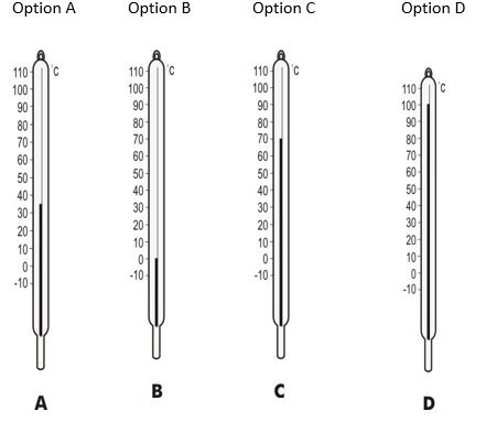 ""CBSE-Class-5-EVS-Experiments-With-Water-Worksheet-Set-A