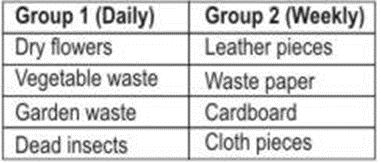 ""CBSE-Class-5-EVS-Mangoes-Round-The-Year-Worksheet