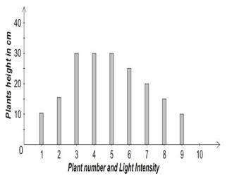 ""CBSE-Class-5-EVS-Seeds-And-Seeds-Worksheet-Set-B-10