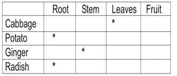 ""CBSE-Class-5-EVS-Seeds-And-Seeds-Worksheet-Set-B-4