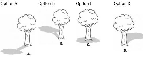 ""CBSE-Class-5-EVS-Sunita-In-Space-Worksheet-1